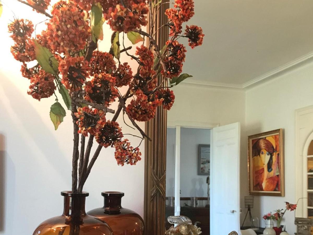 Le 14 St Michel Bed & Breakfast Josselin Bagian luar foto